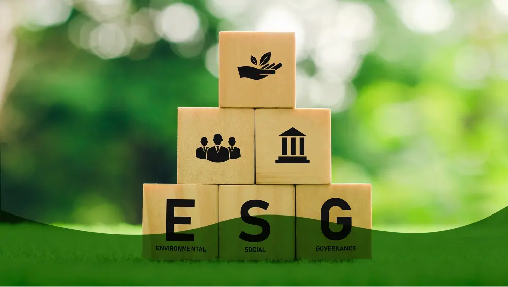 ESG Strategy and Roadmap